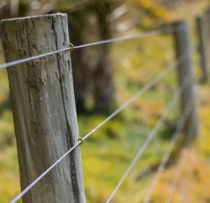 Timber and Fencing