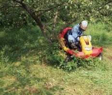 Canycom CMX2402 Brushcutter