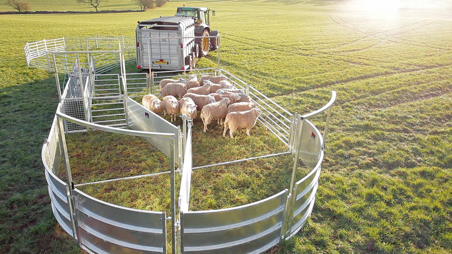 Bateman Sheep Systems - Image 11