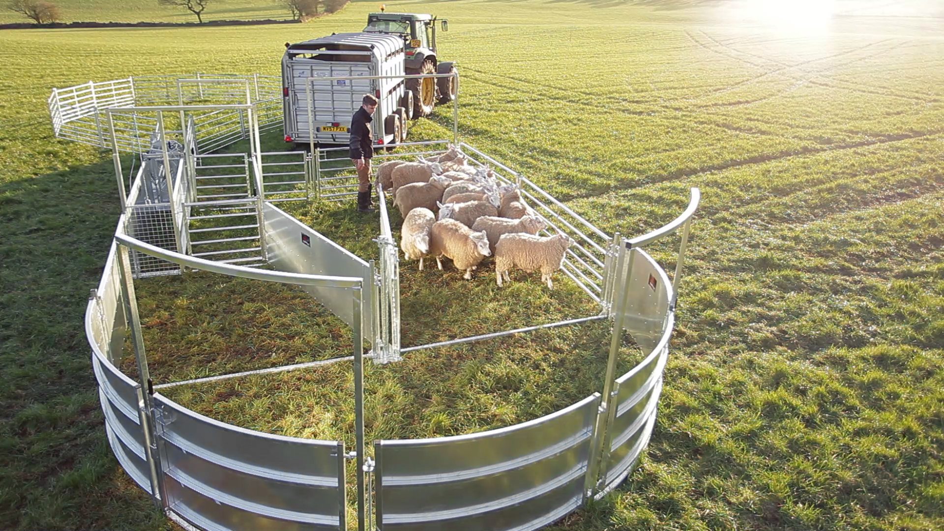 Bateman Sheep Systems - Image 10