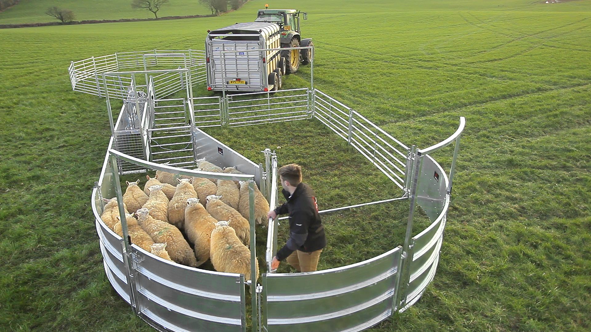 Bateman Sheep Systems - Image 9