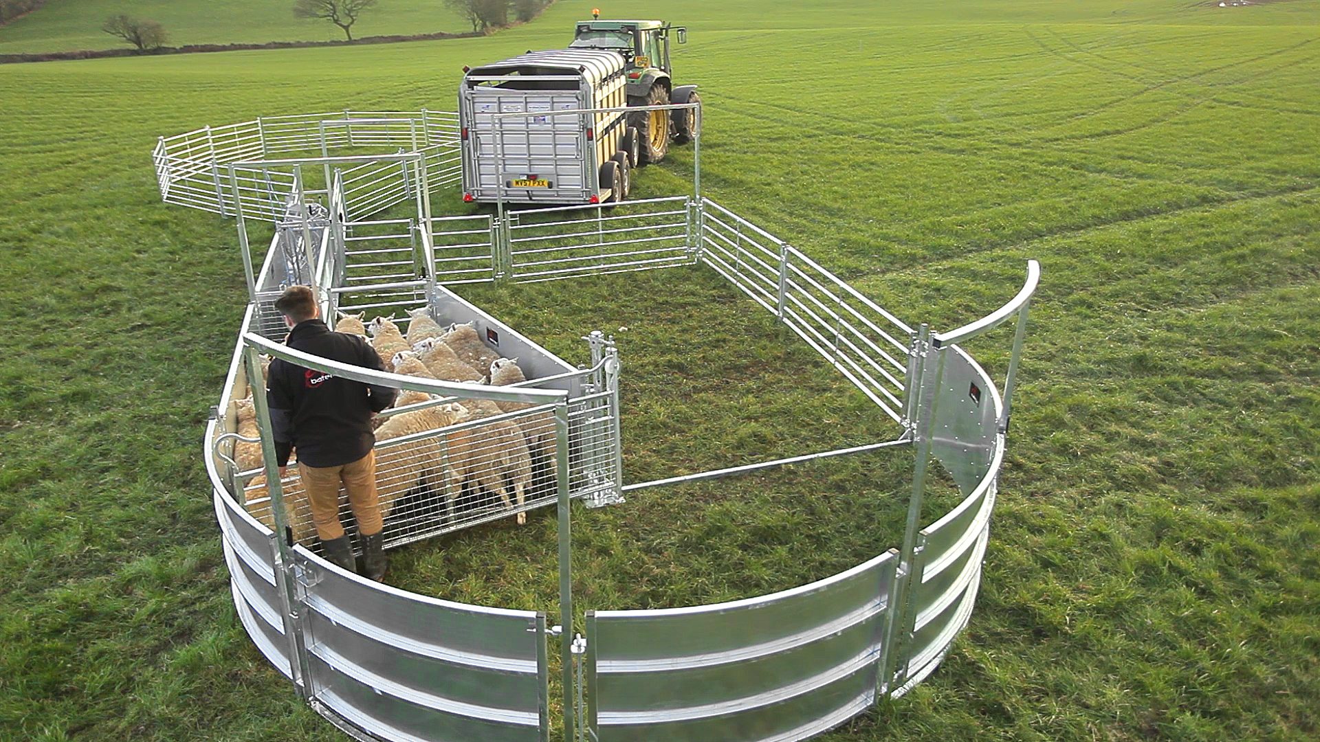 Bateman Sheep Systems - Image 8