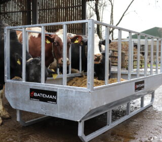 Bateman Cattle Feeding