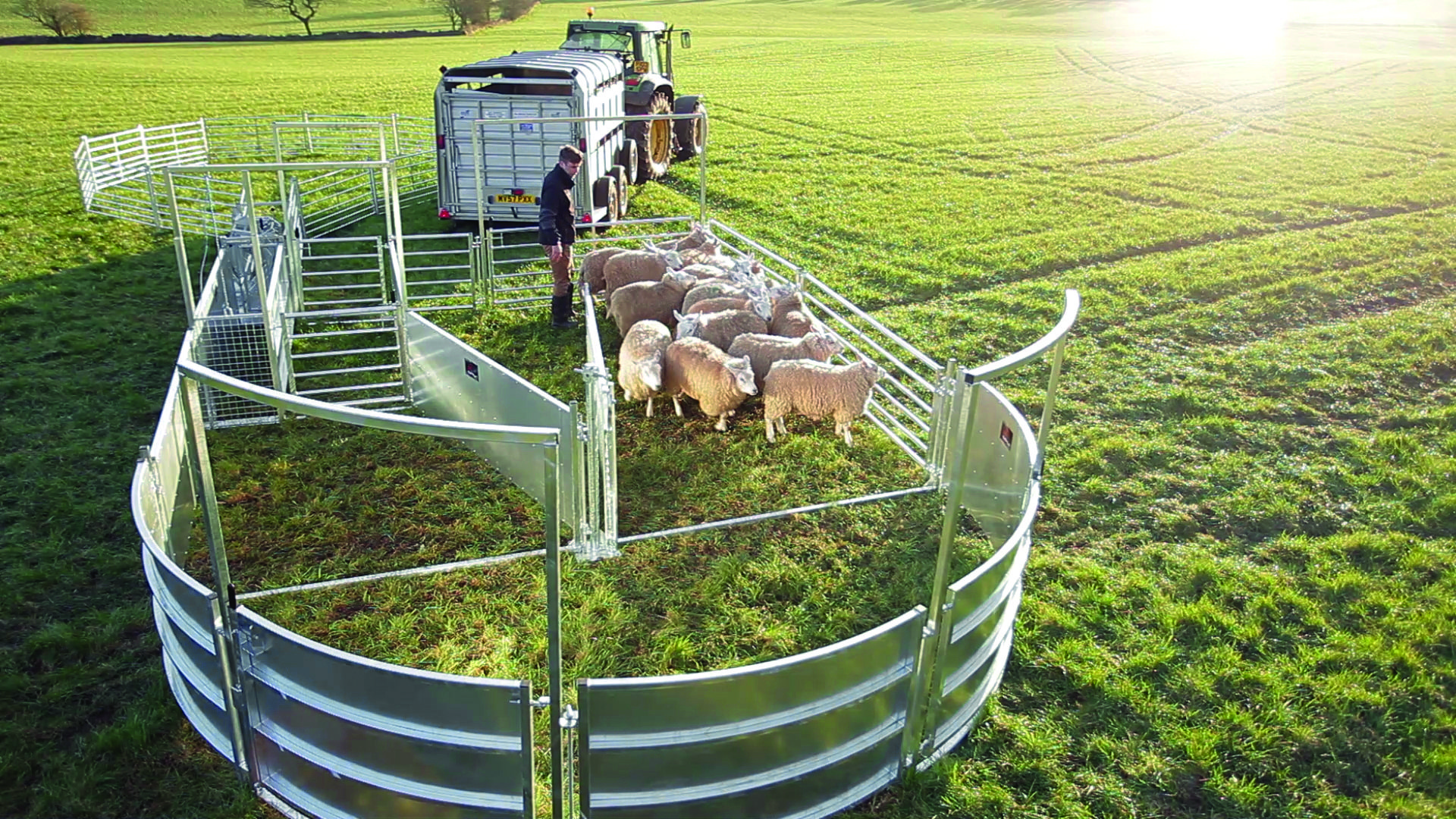 Bateman Sheep Systems - Image 7