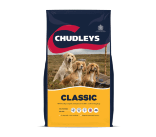 Chudley's Classic