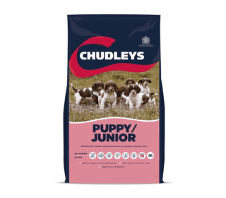 Chudley's Puppy/Junior