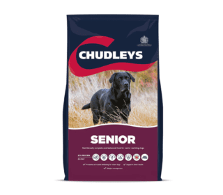Chudley's Senior