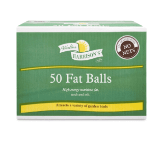 Harrisons Fatballs without Net