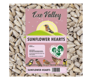 Ex Valley Sunflower Hearts