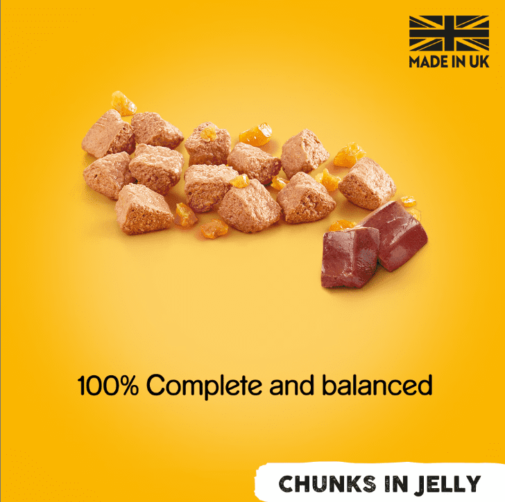 Pedigree Chunks in Jelly Mixed Selection Adult Wet Dog Food - Image 3