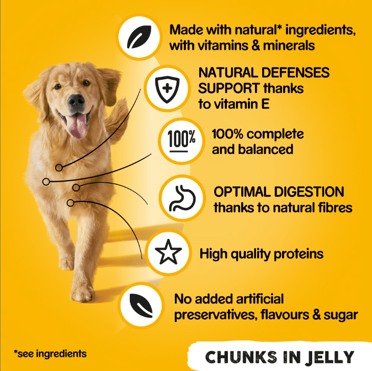 Pedigree Chunks in Jelly Mixed Selection Adult Wet Dog Food - Image 2