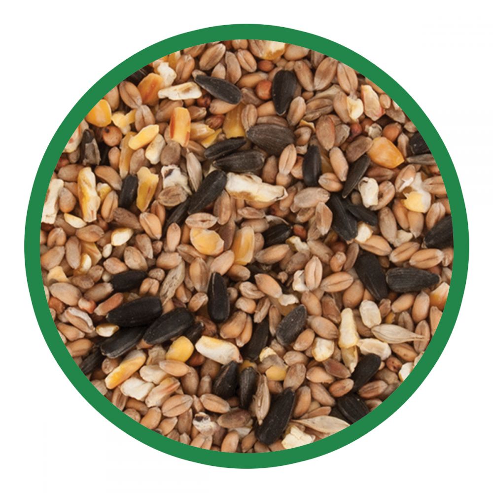 Harrisons Wild Bird Seed Mix - Image 5