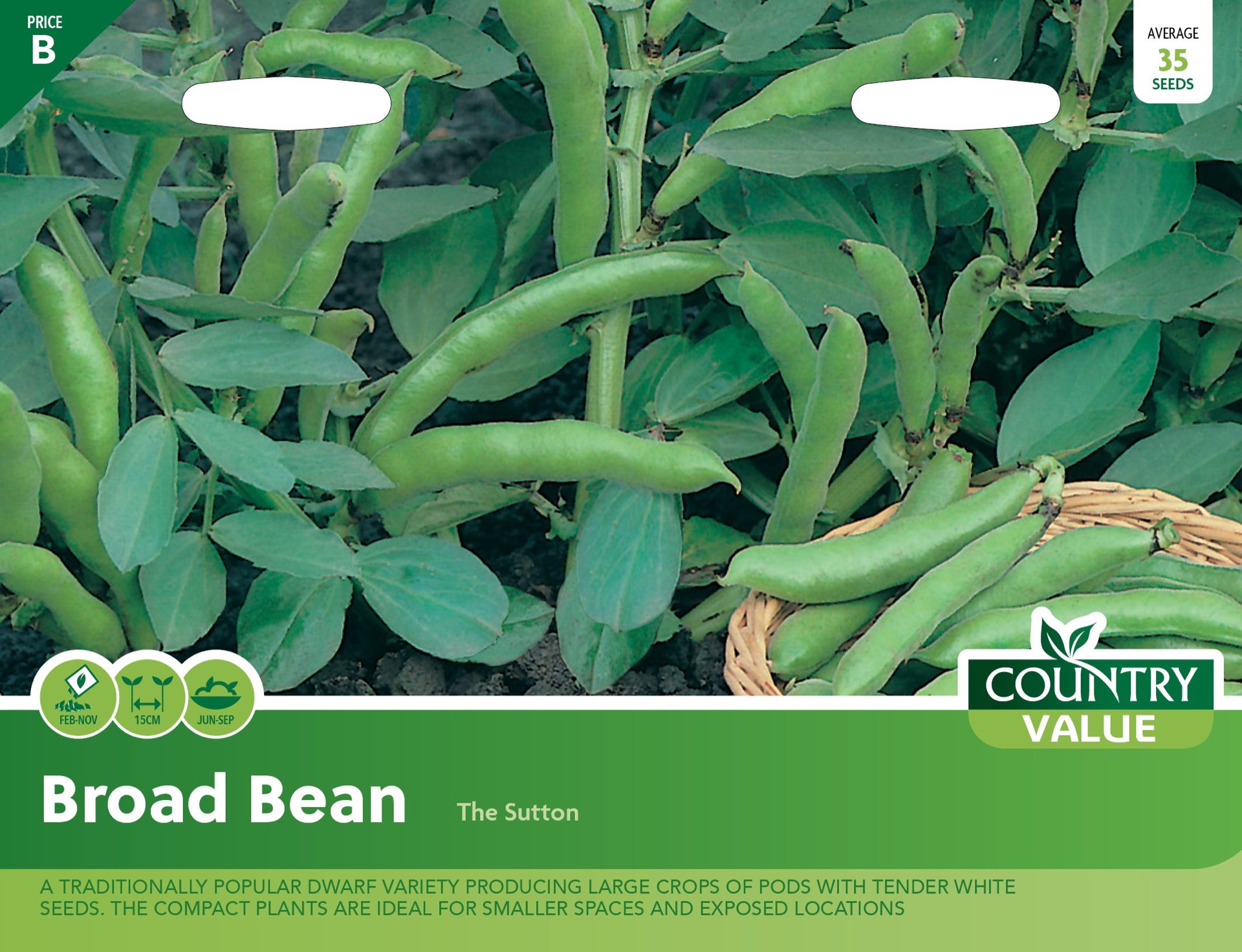 Garden Value Vegtable Seeds - Image 6