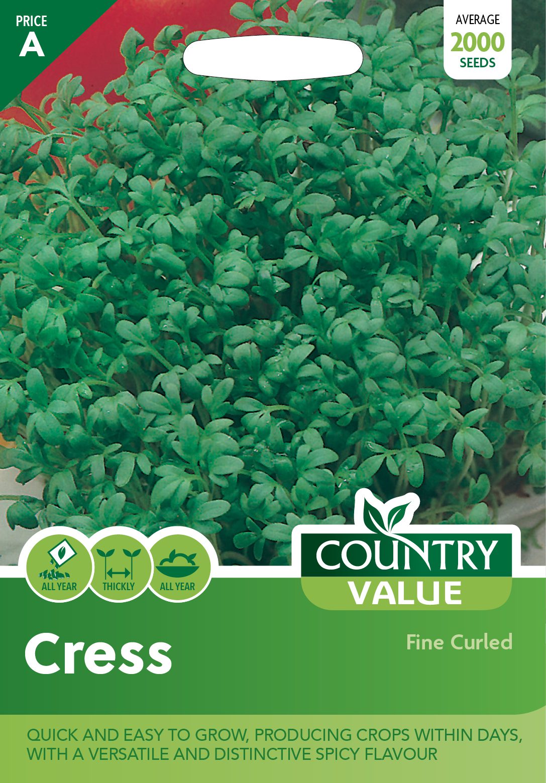 Garden Value Vegtable Seeds - Image 24