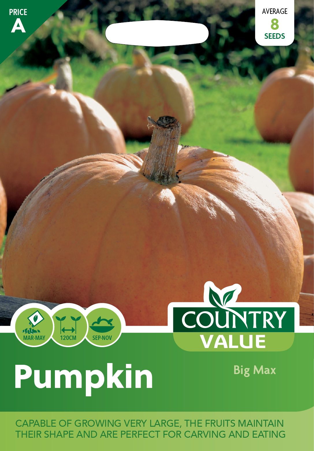 Garden Value Vegtable Seeds - Image 55