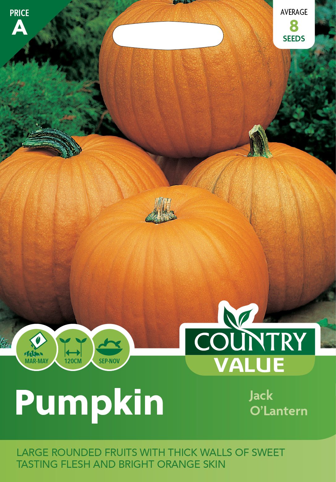 Garden Value Vegtable Seeds - Image 56
