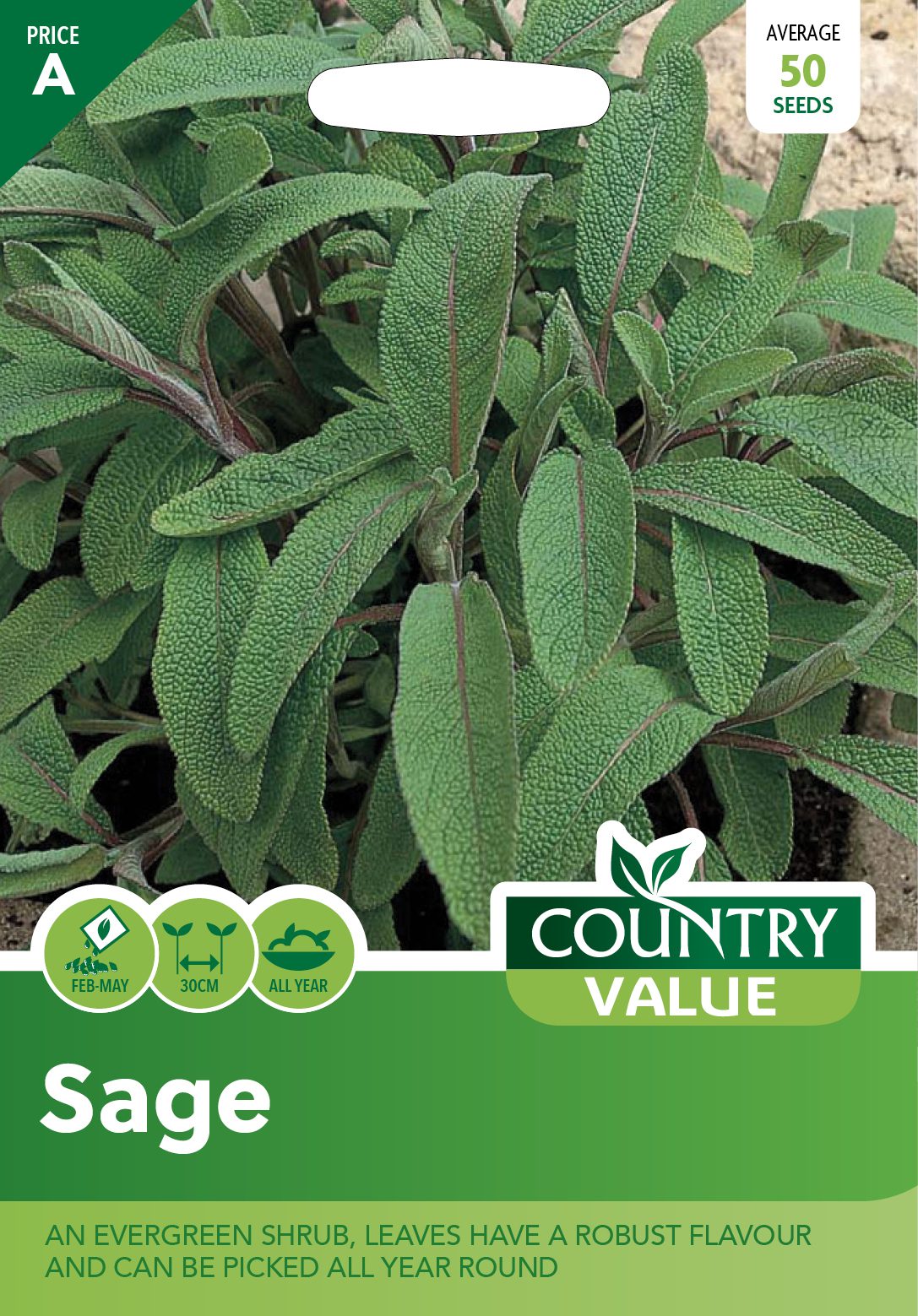 Garden Value Vegtable Seeds - Image 63