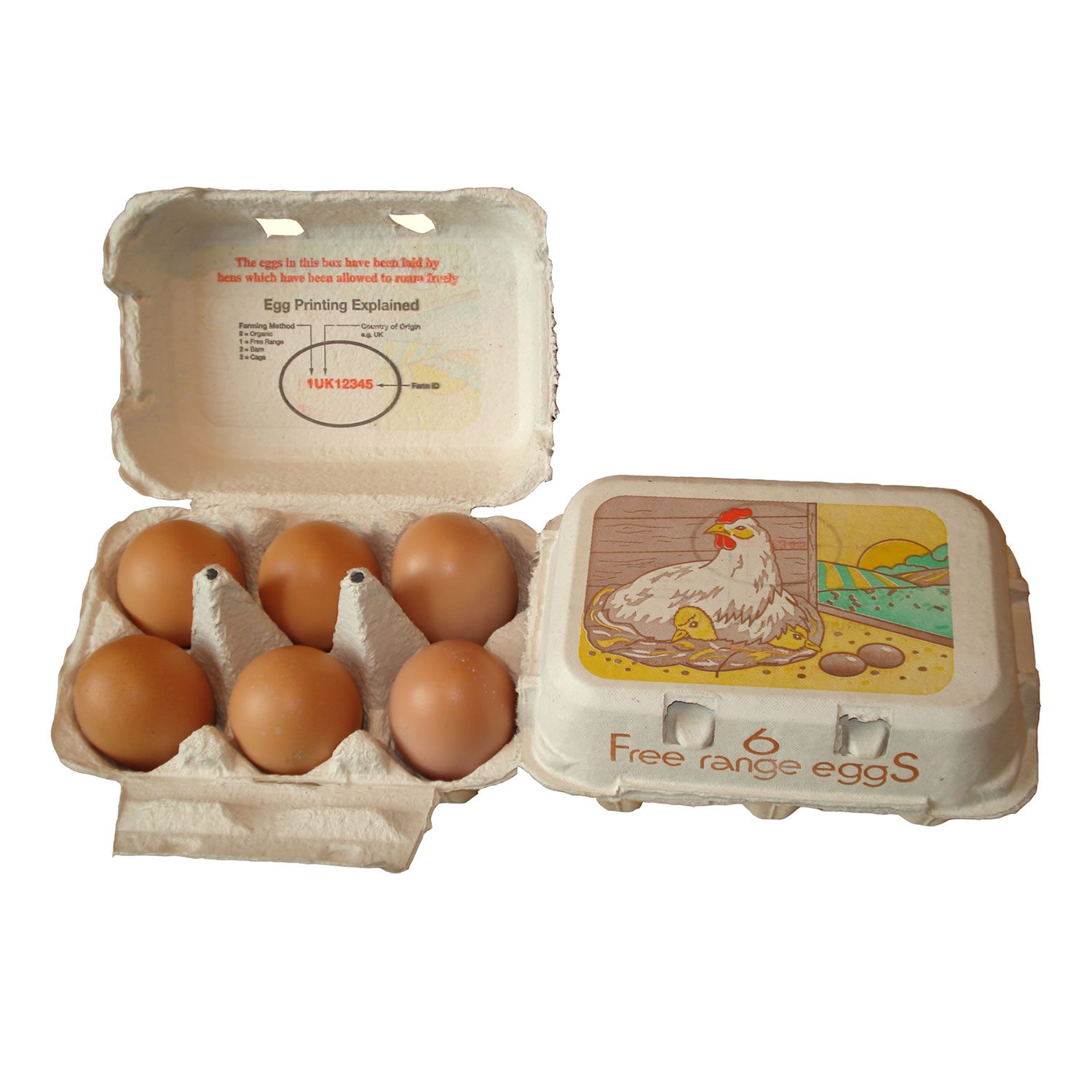 Egg Boxes - Half a Dozen - Image 3