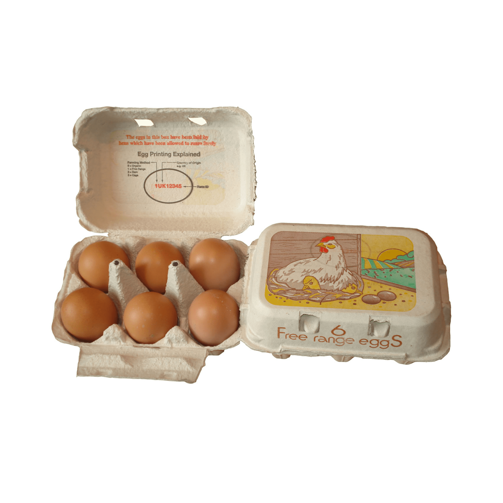 Egg Boxes - Half a Dozen