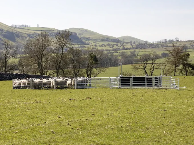 Bateman Sheep Handling Trailer - Martin Pears Engineering » Martin ...