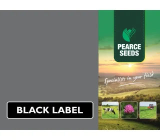 Pearce Seeds: Medium Term Silage Mixture