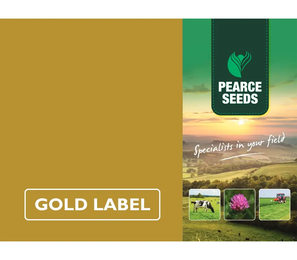 Pearce Seeds: Dairy Extended Grazing Mixture