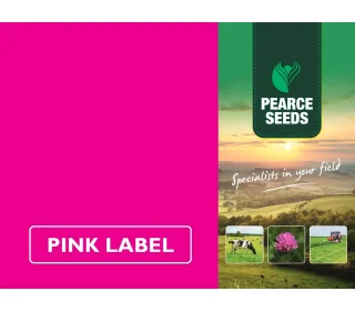 Pearce Seeds: Long Term Cutting & Grazing (No Clover)