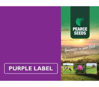 Pearce Seeds: Short Term Silage Mixture (No Clover)