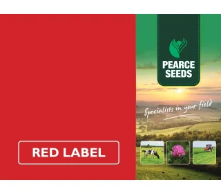 Pearce Seeds: I.R.G Red Clover Mixture