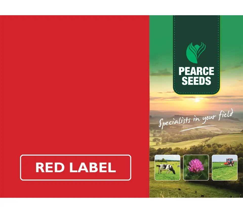 Pearce Seeds: I.R.G Red Clover Mixture