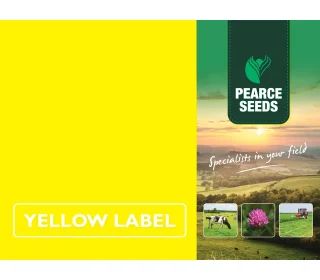 Pearce Seeds: Long Term Long Season Cutting & Grazing