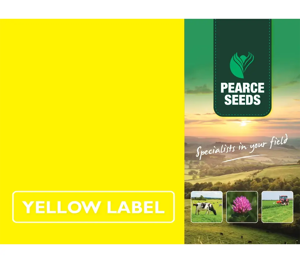 Pearce Seeds: Long Term Long Season Cutting & Grazing