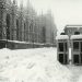 grande nevicata 1985 75x75 - METEO DIDATTICA: BRINA e RUGIADA, due indicatori tipici del clima lombardo