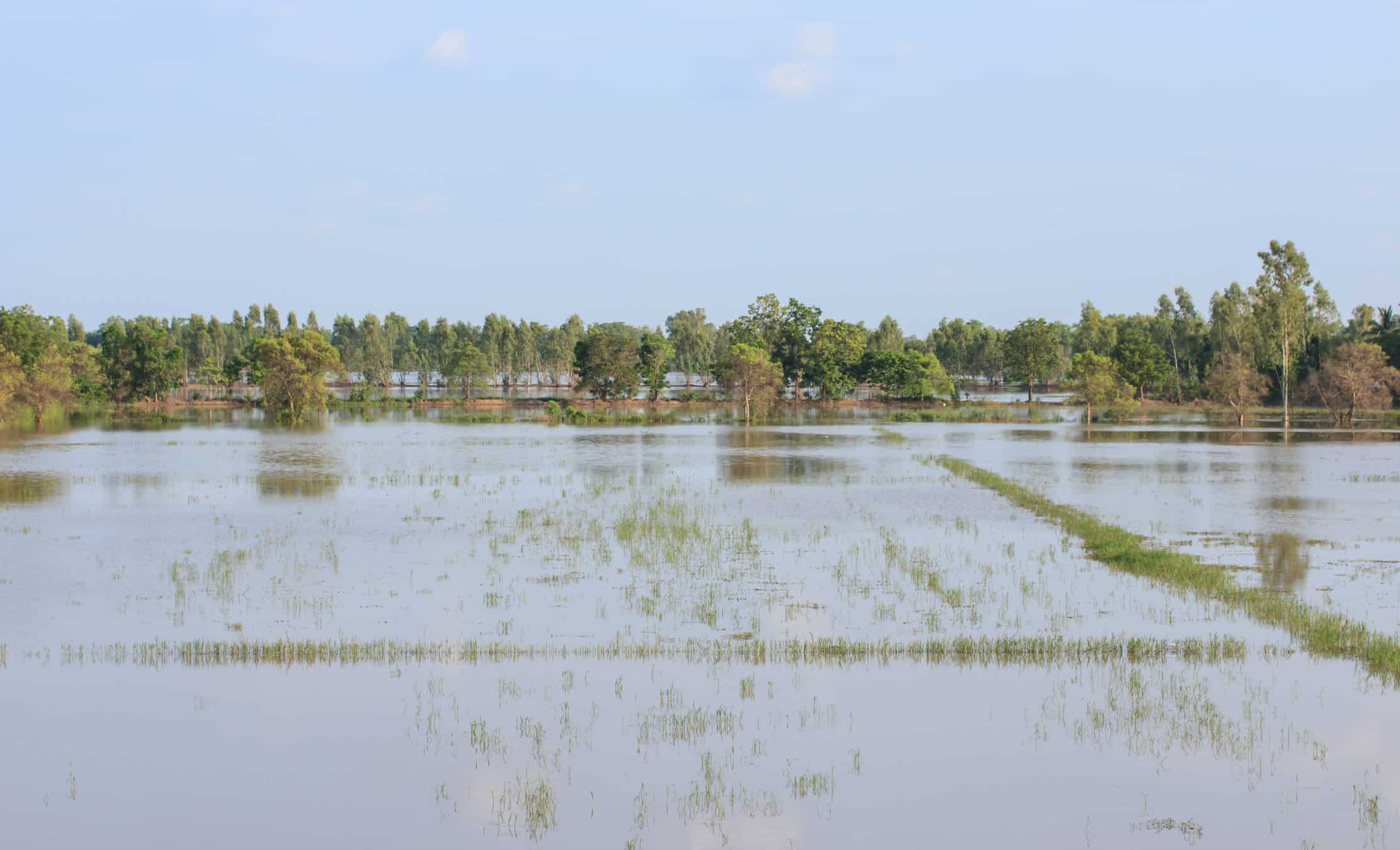 dreamstime m 93738757 - Meteo Lombardia, da ondata di Caldo Record a Inverno improvviso