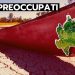 meteo lombardia persistente siccita 75x75 - Meteo Lombardia Estate: siccità grave e piove male, un pessimo connubio