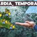 meteo lombardia temporali 75x75 - Meteo Milano: settimana fresca e piovosa! Niente caldo, nemmeno a oltranza