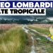 meteo lombardia estate tropicale 75x75 - Meteo Lombardia 15 giorni: saliscendi termici e temporali anche FORTI