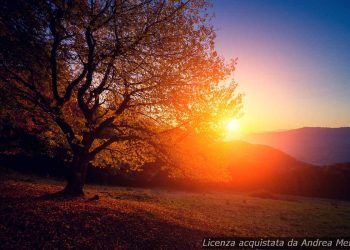 meteo-sondrio:-sole-splendente-domani,-ma-attenzione-alle-nuvole-in-arrivo