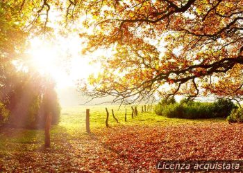 meteo-mantova:-oggi-cielo-limpido,-prossimi-giorni-leggermente-nuvolosi