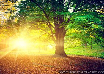 meteo-pavia:-oggi-sole,-domani-foschia-leggera