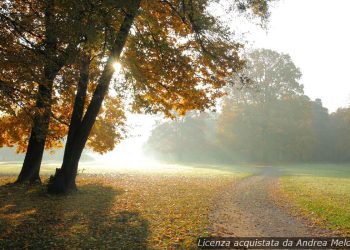 previsione-meteo-mantova:-nuvolosita-e-pioviggine-oggi,-vento-in-arrivo