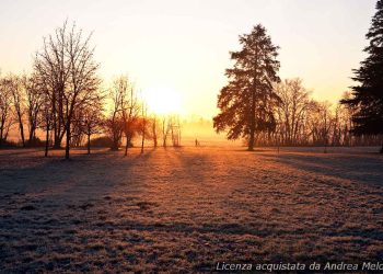 previsione-meteo-monza:-foschia-e-pioviggine-in-arrivo