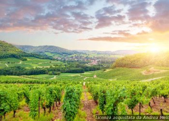 meteo-varese:-foschia-oggi,-seguita-da-cielo-sereno-nei-prossimi-giorni