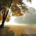 meteo-pavia:-domani-nuvole-e-pioviggine-in-arrivo