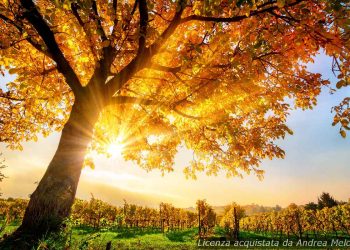 meteo-varese:-sole-e-nuvole-in-arrivo,-attesi-temporali-nel-weekend