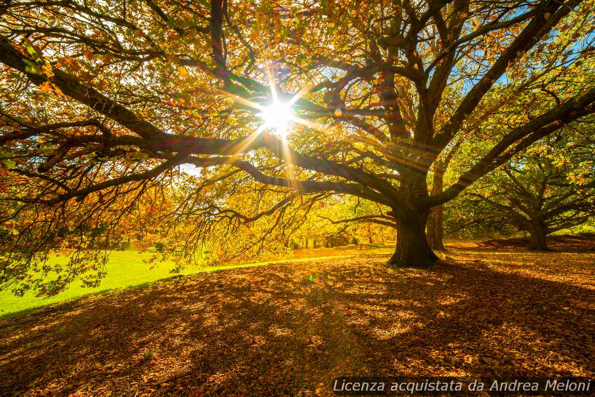 previsioni-meteo-varese:-nubi-sparse-e-vento-nei-prossimi-giorni previsioni-meteo-varese:-nubi-sparse-e-vento-nei-prossimi-giorni