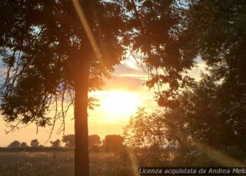 previsioni-meteo-mantova:-sole-splendente-oggi,-lieve-nuvolosita-in-arrivo