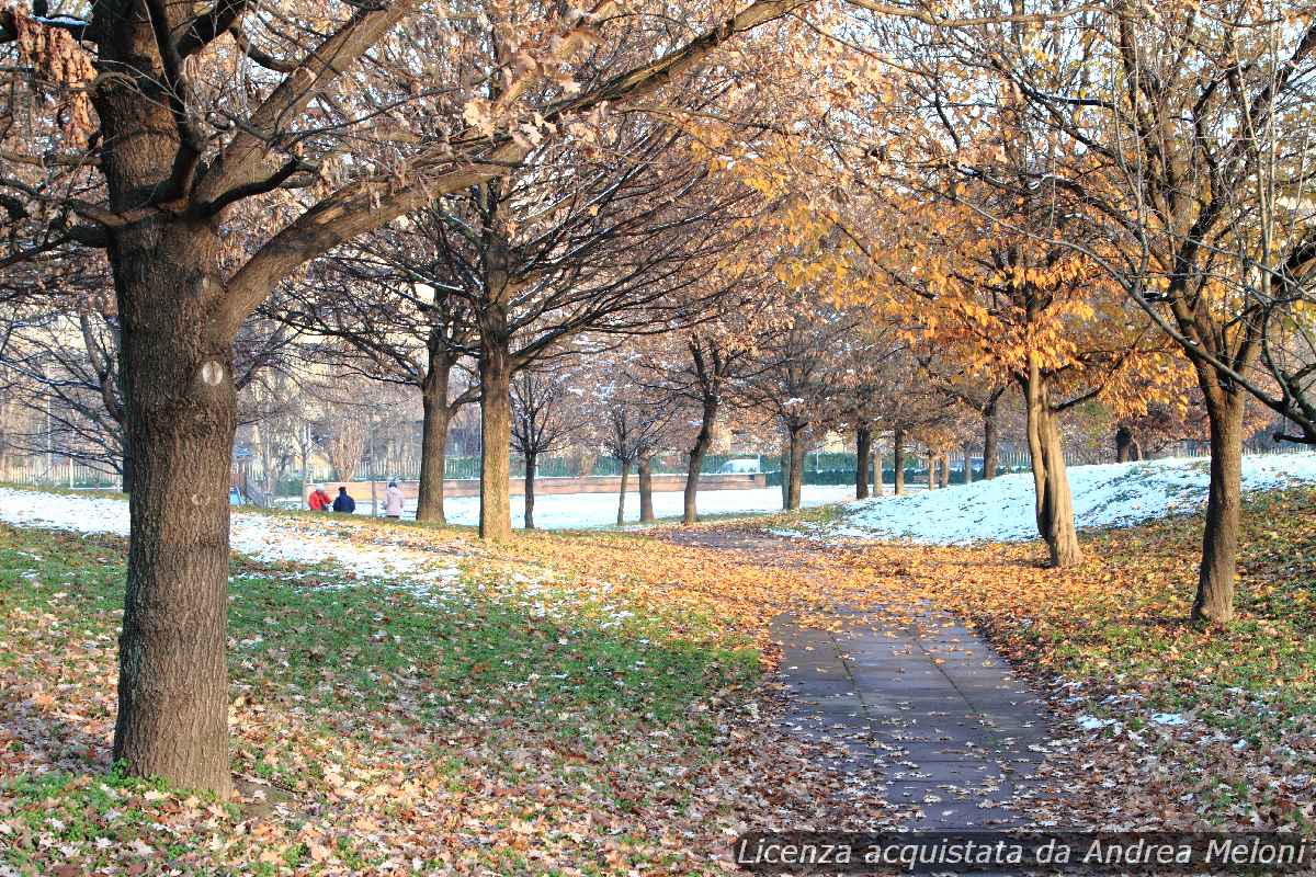 meteo-milano:-oggi-foschia-leggera,-poi-arriva-la-foschia-piu-intensa