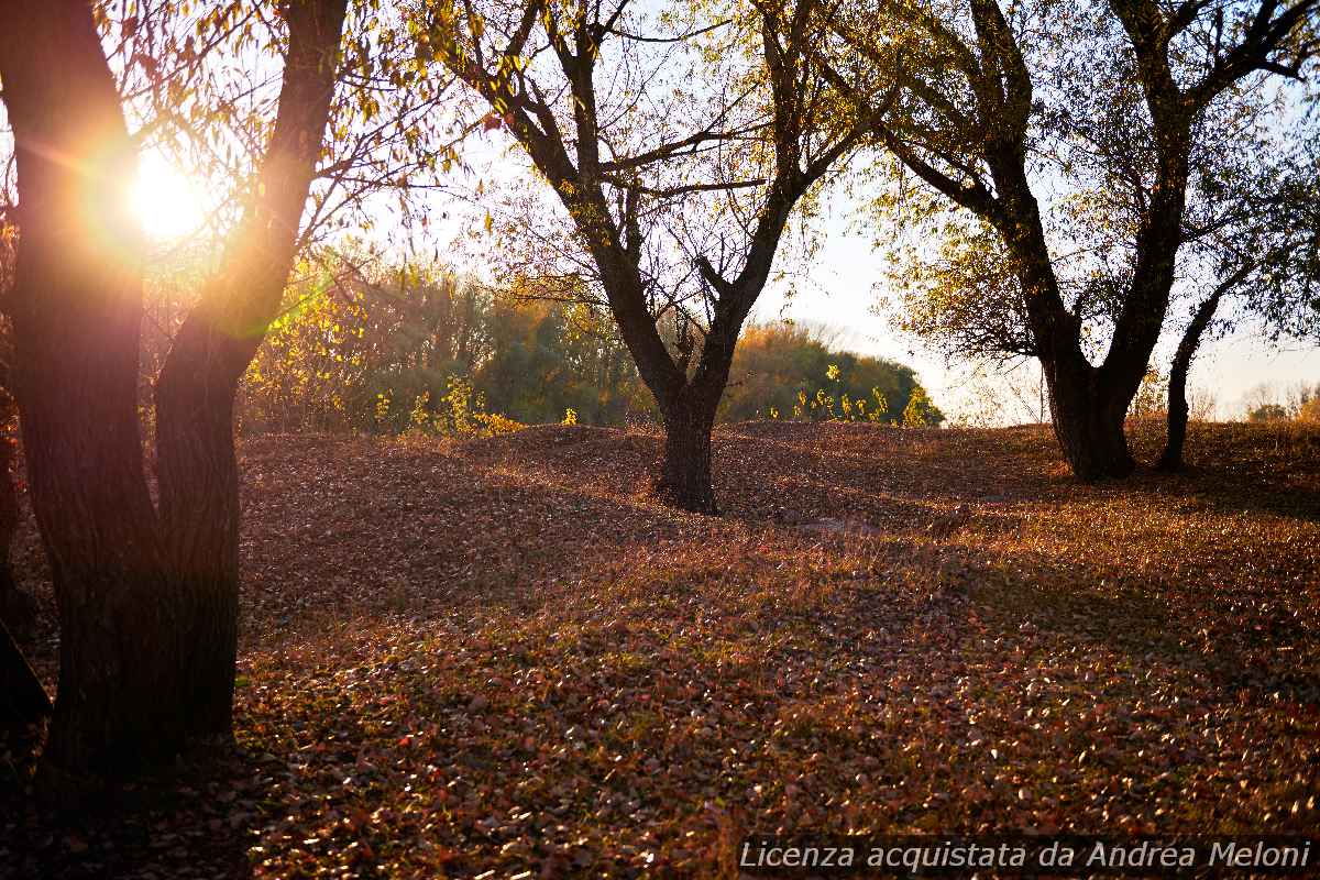 meteo-pavia:-domani-nubi-sparse,-poi-schiarite-e-bel-tempo-in-arrivo