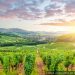 previsione-meteo-tortoli:-giornate-di-sole-e-cielo-quasi-sereno-in-arrivo